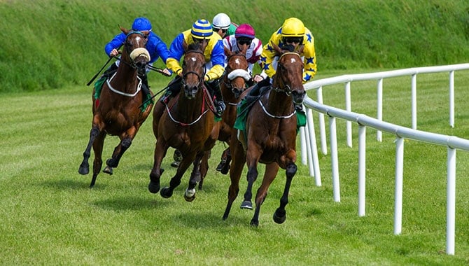 horse_racing