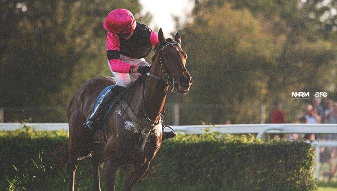 national horseracing museum arc 1 gambling insider web image