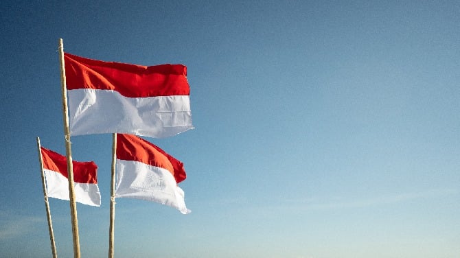 Indonesia flags